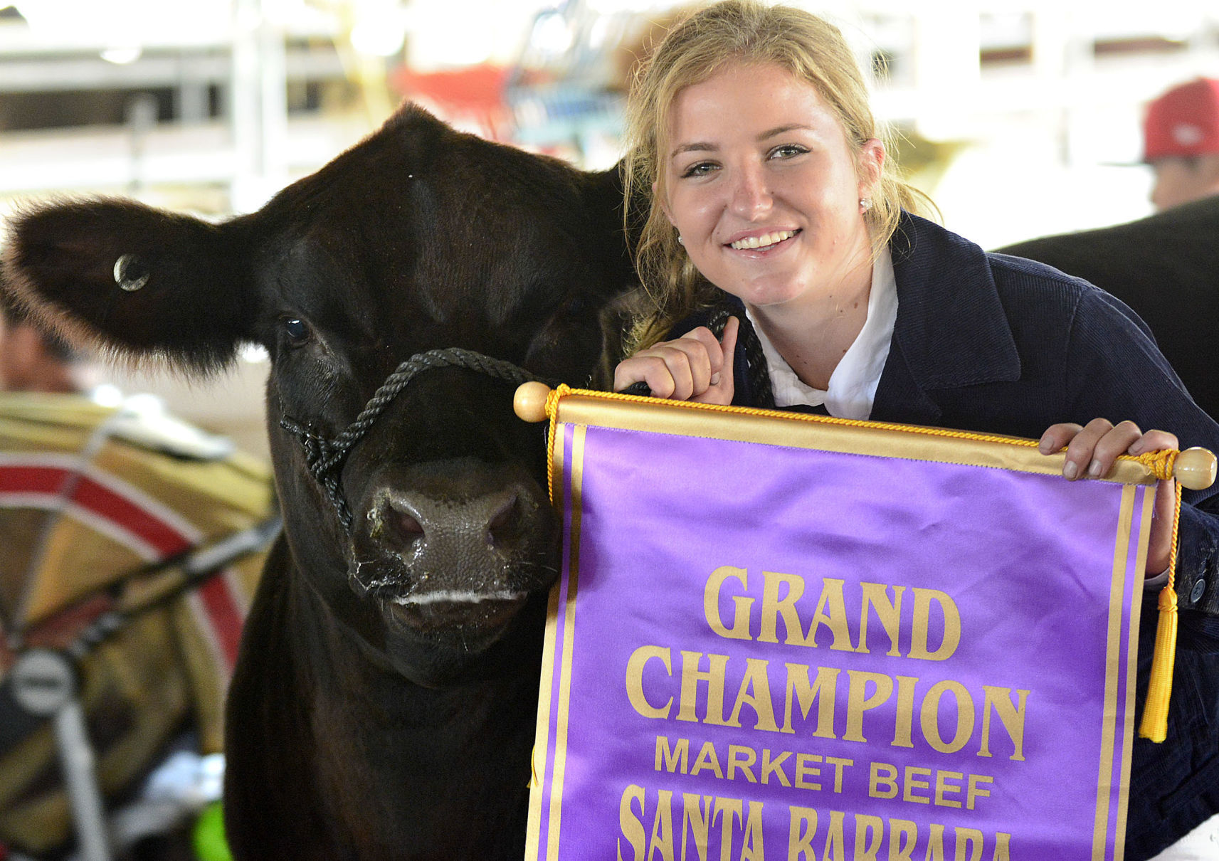 071018 County Fair steer judging 02.jpg